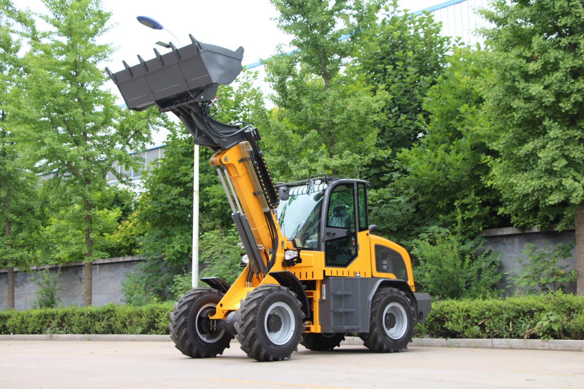 Telescopic Loader