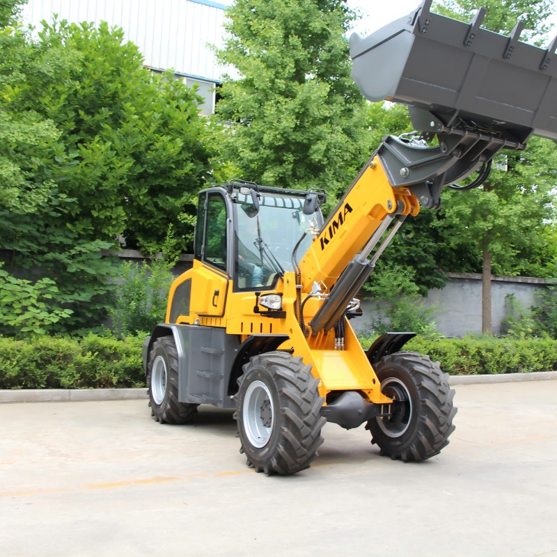 Telescopic Loader